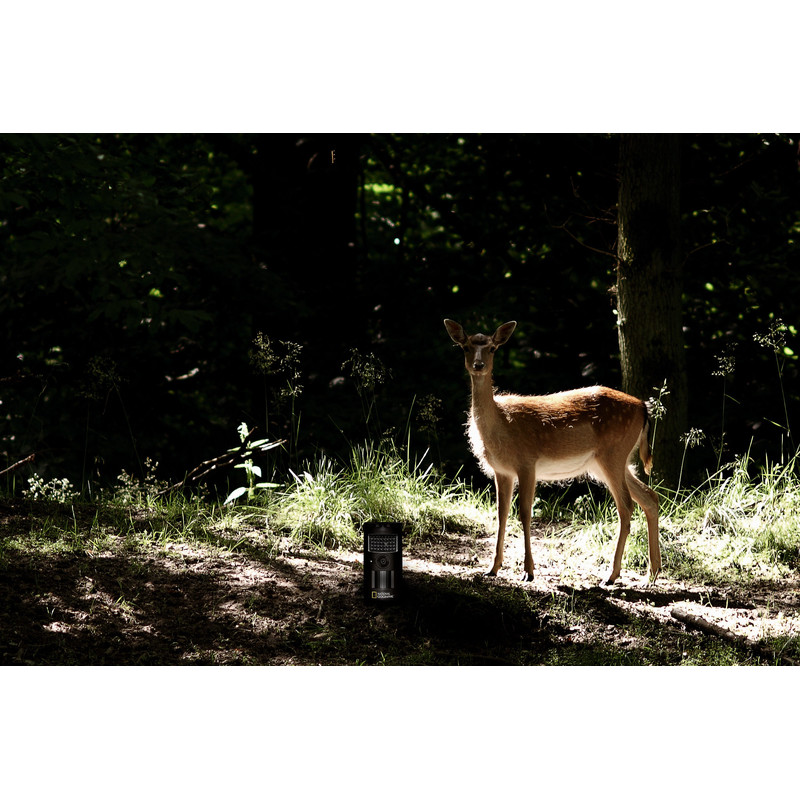 National Geographic Wildkamera Beobachtungskamera