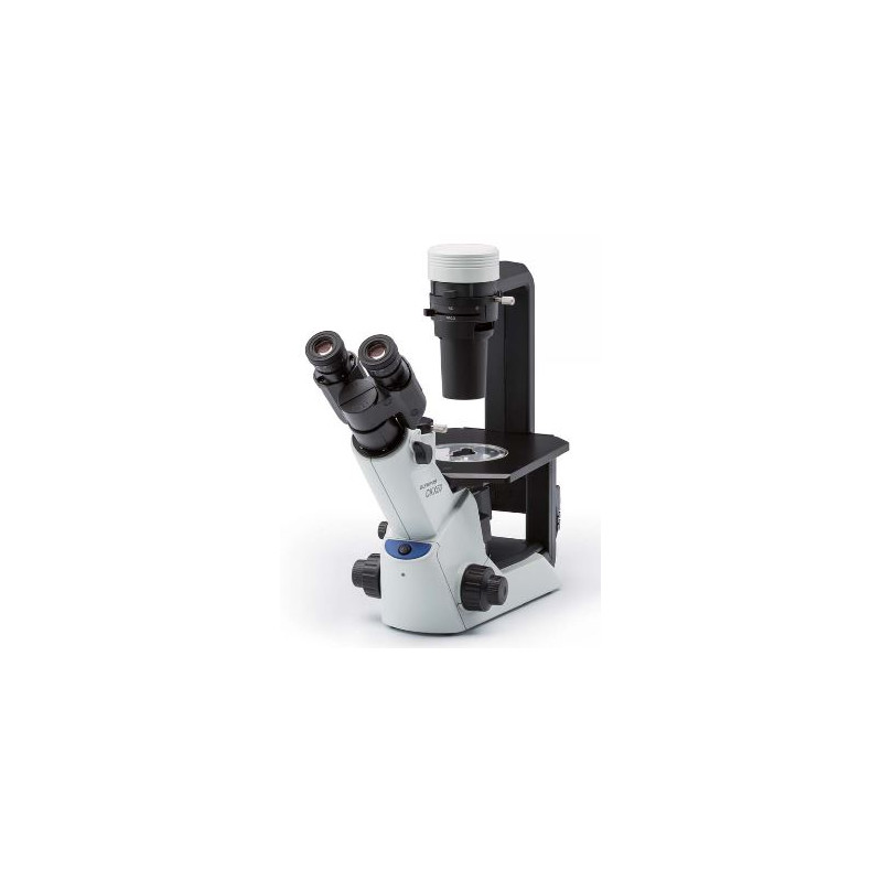 Evident Olympus Inverses Mikroskop Olympus CKX53 Hellfeld V1, trino, infinity, plan achro, 4x, 10x, LED