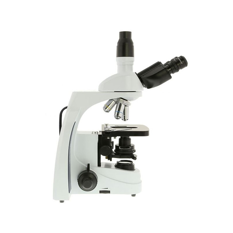 Euromex Mikroskop iScope IS.1153-PLPHi, trino