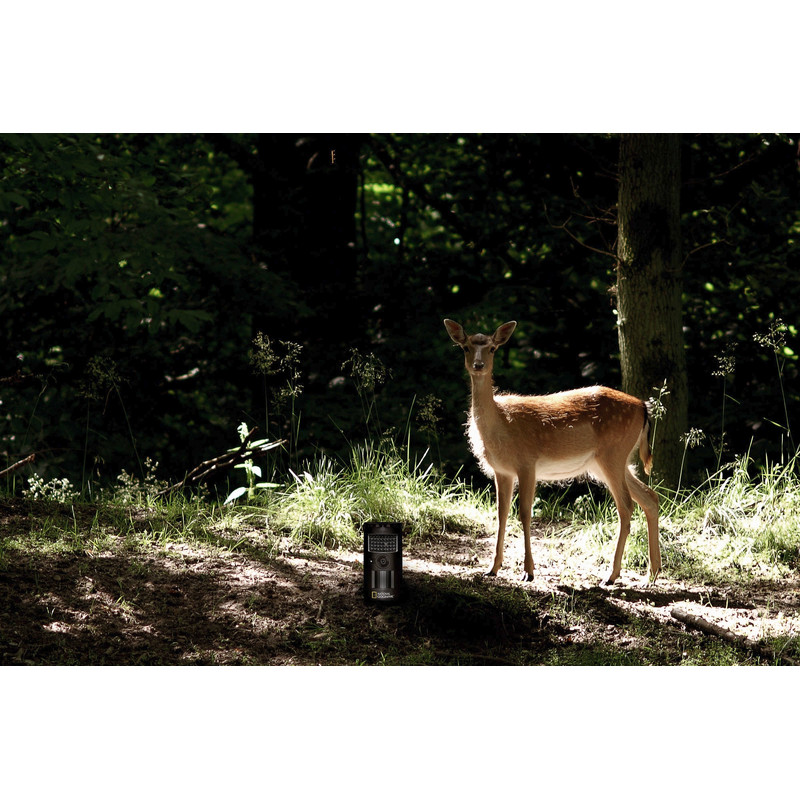 National Geographic Wildkamera Wild- und Überwachungskamera