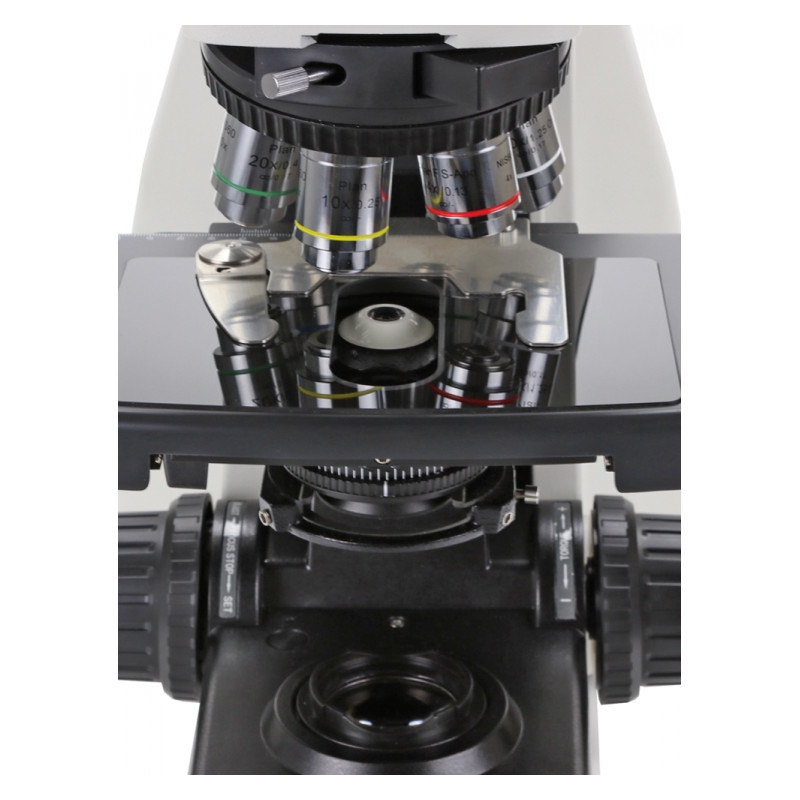 Euromex Mikroskop DX.1153-PLPHi, phase, trino, infinity, 40x - 1000x