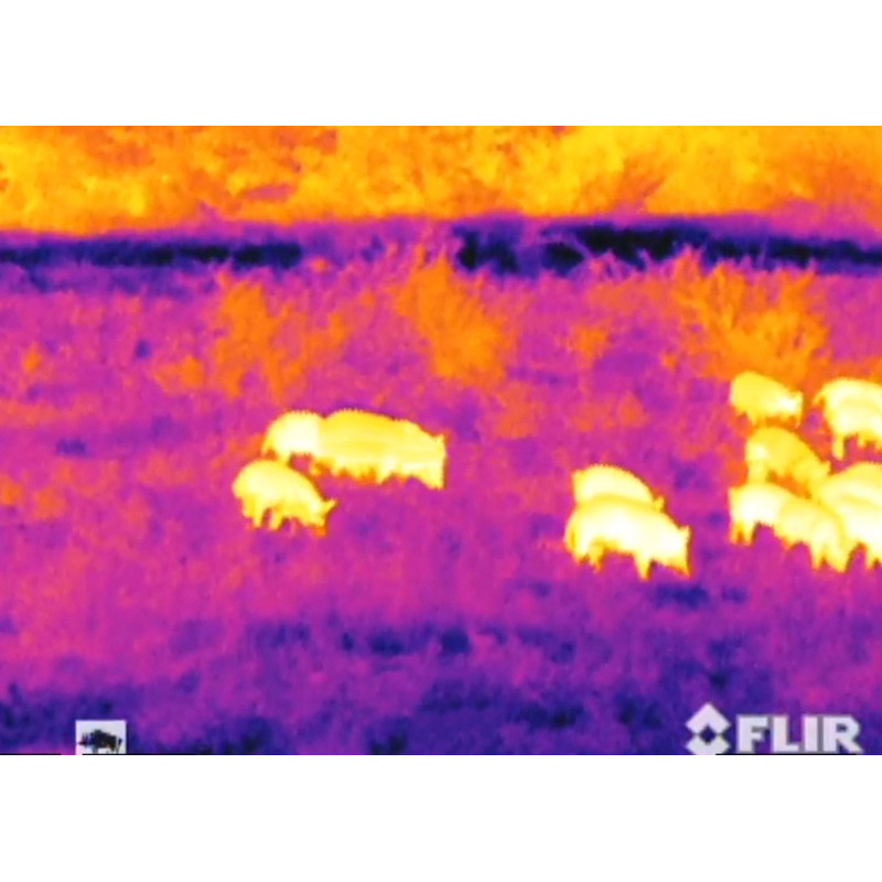 Armasight Thermalkamera Command 336, 8-32x100 (60 Hz)