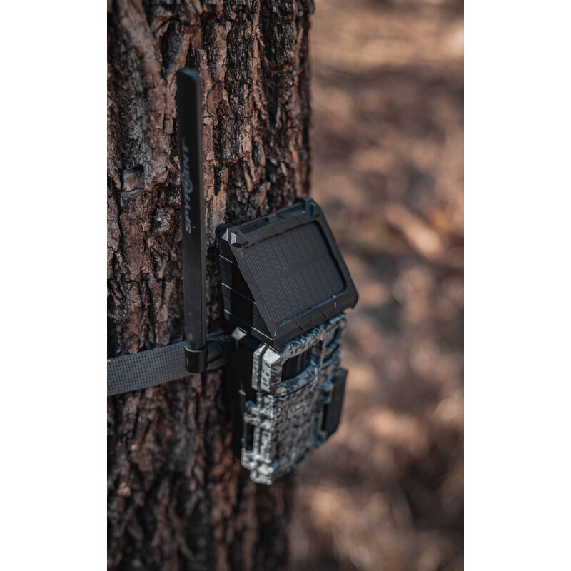 Spypoint Wildkamera Link-Micro-S LTE