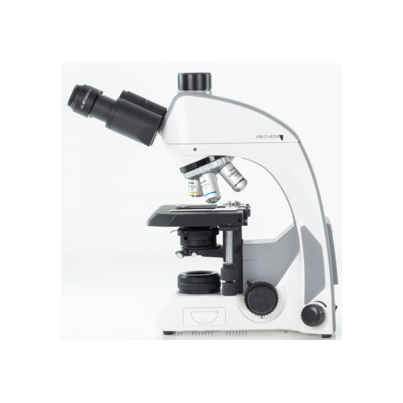 Motic Mikroskop Panthera C2, Trinokular (Ohne 100X), infinity, plan, achro, 40x-400x, Halogen/LED