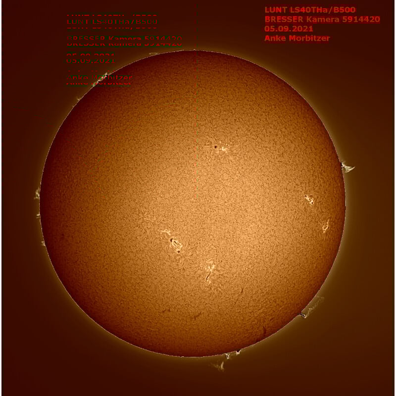 Lunt Solar Systems Sonnenteleskop ST 40/400 LS40T Ha B500 R&P