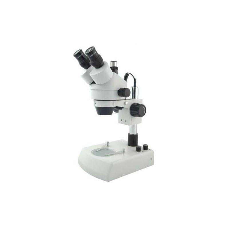 Windaus Stereozoommikroskop HPS 443 Zoom, trinokular