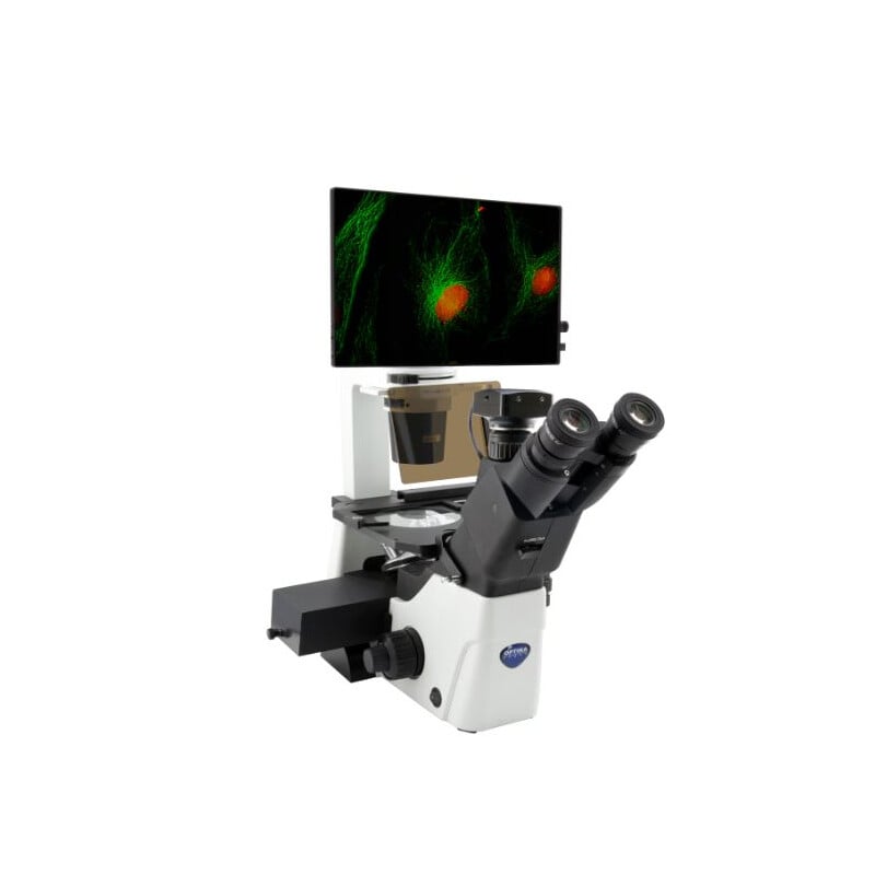 Inverses Mikroskop IM-300LD4D Digital Inverted LED fluorescence microscope, 400x, IOS LWD PLAN F, 4 empty filterset slots
