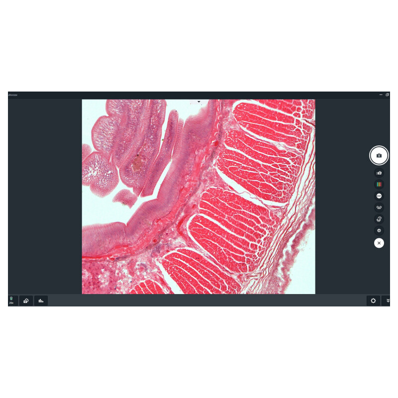 ZEISS Software Labscope Modul Multi Channel DLic