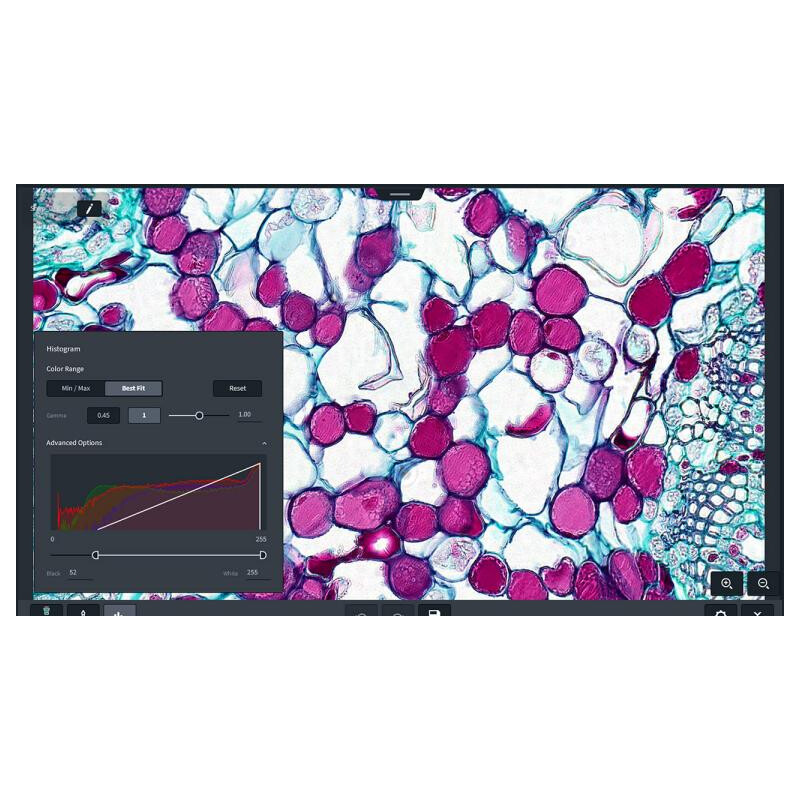 ZEISS Software Labscope Modul Multi Channel DLic