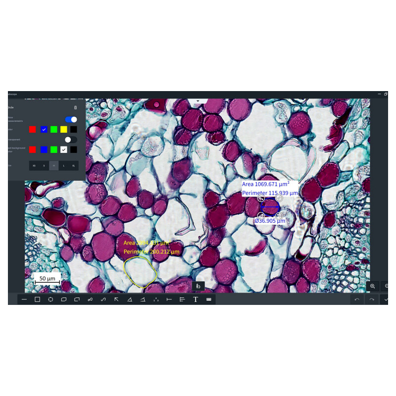 ZEISS Software Labscope Modul Multi Channel DLic