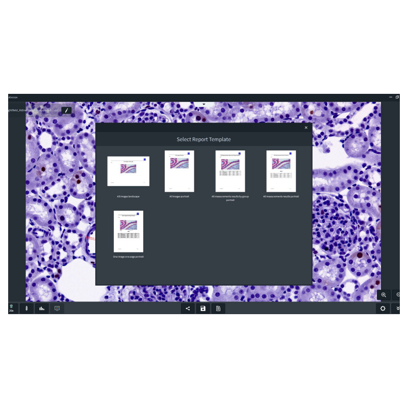 ZEISS Software Labscope Modul Multi Channel DLic
