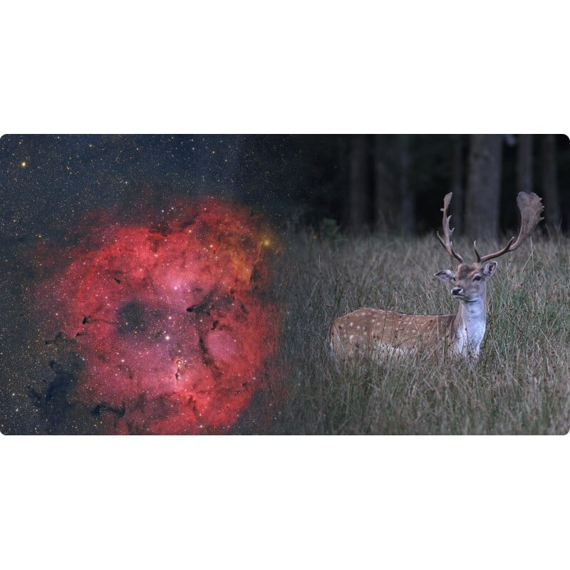 ToupTek Apochromatischer Refraktor HOPE D60 60/280 f/4.66