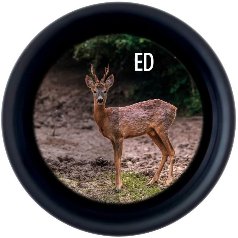 Minox Fernglas X-Tour 10x42