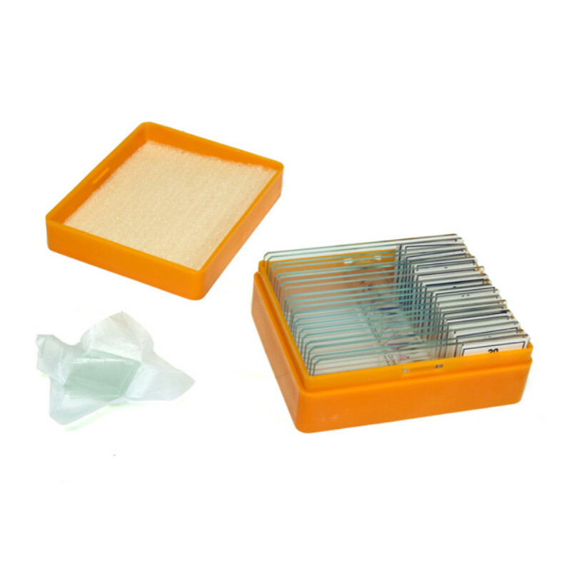 Levenhuk Dauerpräparate N20 NG